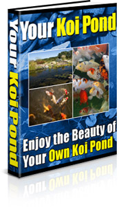 Your Own Koi Pond the Complete Audio Book