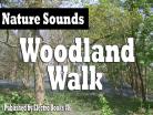 Woodland Walk