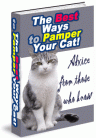 How to Pamper Your Cat